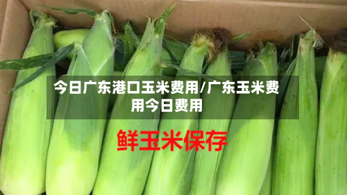 今日广东港口玉米费用/广东玉米费用今日费用-第2张图片