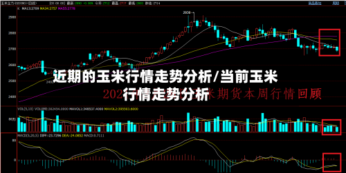 近期的玉米行情走势分析/当前玉米行情走势分析