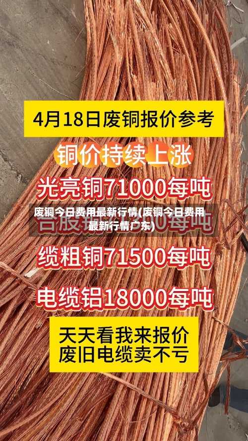 废铜今日费用最新行情(废铜今日费用最新行情广东)