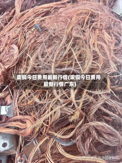 废铜今日费用最新行情(废铜今日费用最新行情广东)-第3张图片