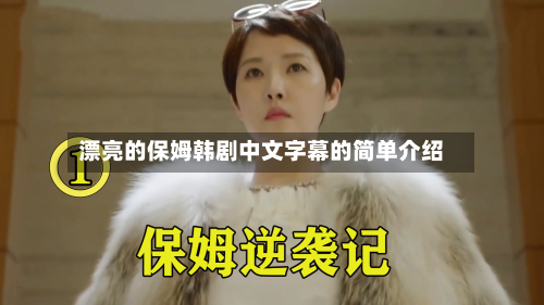 漂亮的保姆韩剧中文字幕的简单介绍-第2张图片