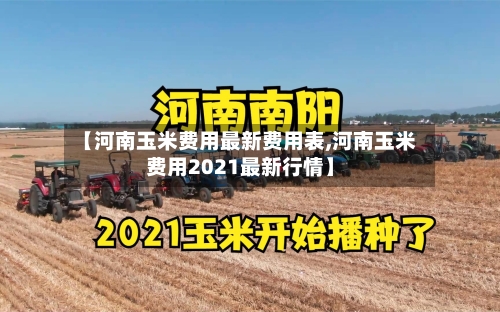 【河南玉米费用最新费用表,河南玉米费用2021最新行情】-第2张图片