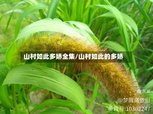 山村如此多娇全集/山村如此的多娇