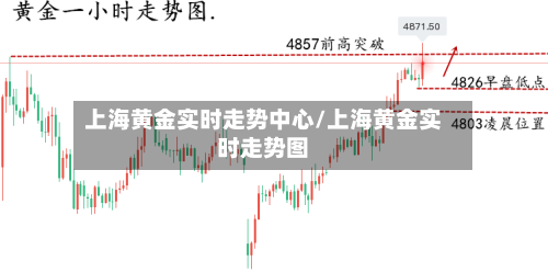 上海黄金实时走势中心/上海黄金实时走势图