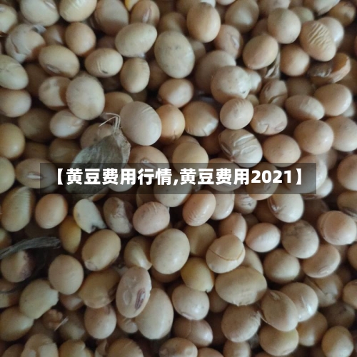【黄豆费用行情,黄豆费用2021】