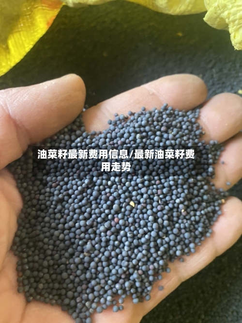 油菜籽最新费用信息/最新油菜籽费用走势