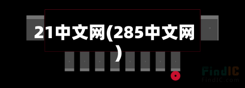 21中文网(285中文网)-第2张图片