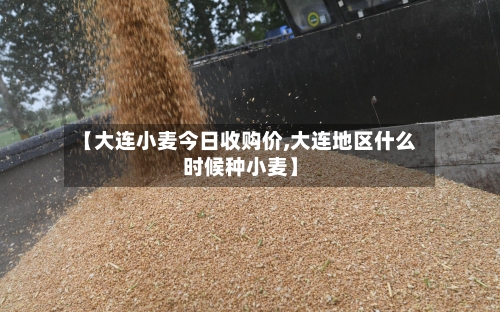 【大连小麦今日收购价,大连地区什么时候种小麦】-第2张图片
