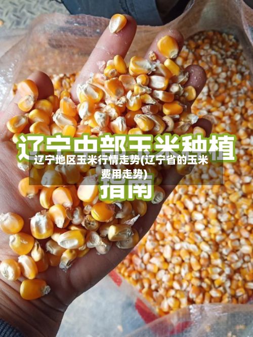 辽宁地区玉米行情走势(辽宁省的玉米费用走势)-第2张图片