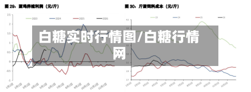 白糖实时行情图/白糖行情网